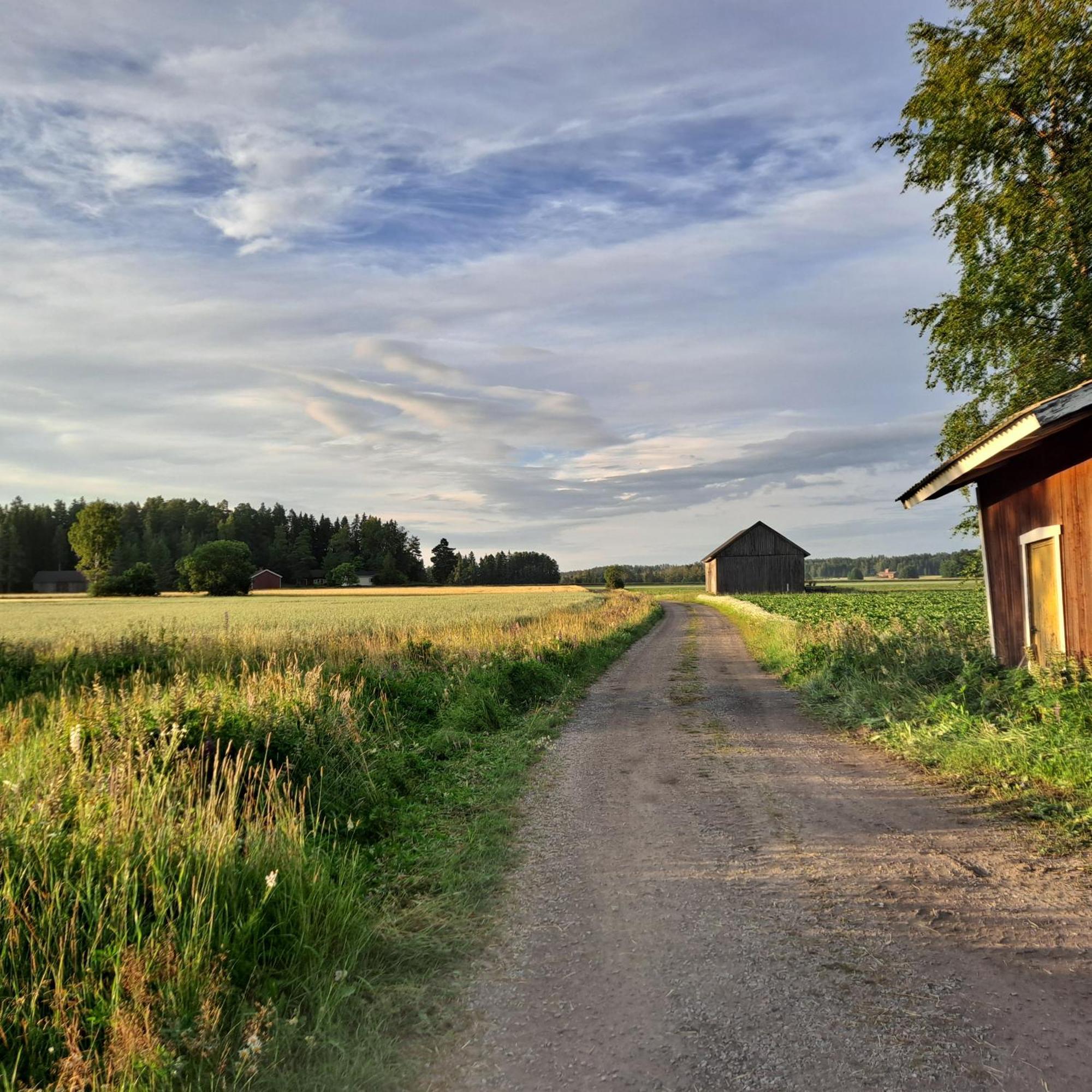 Levomäki Farm Cottages Ypaja Exteriör bild